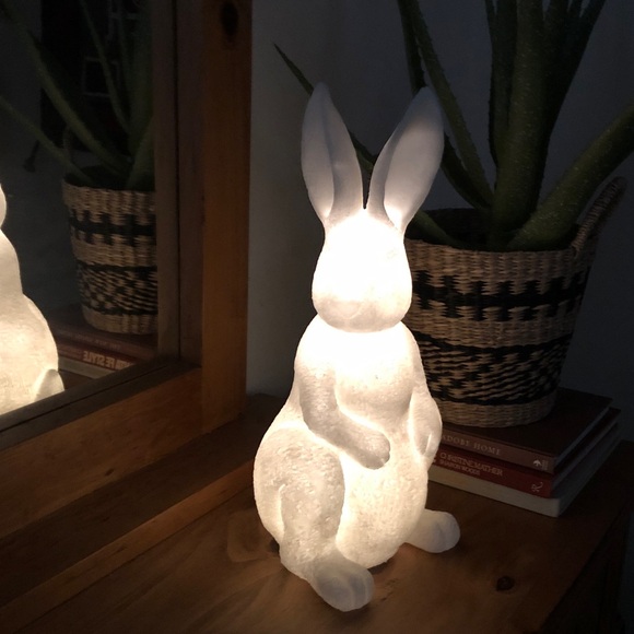 Pottery Barn 18” Lit Timer Function Frosted Bunny Rabbit Easter Garden